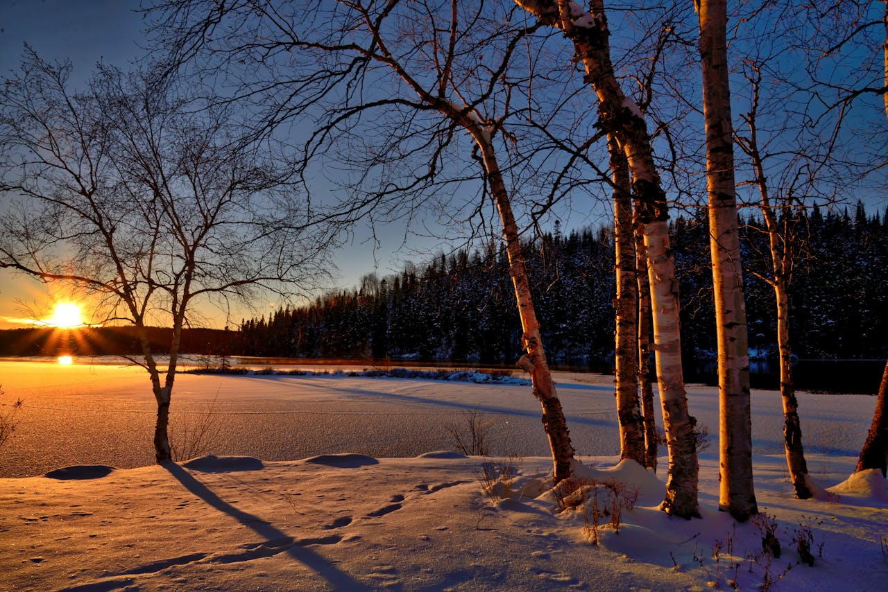 services-02 A serene winter sunset casting shadows on a frozen lake surrounded by snow and trees.